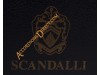 Scandalli Polifonico IX 37 key 96 bass 37 Key 96 bass accordion.  Midi systems available.